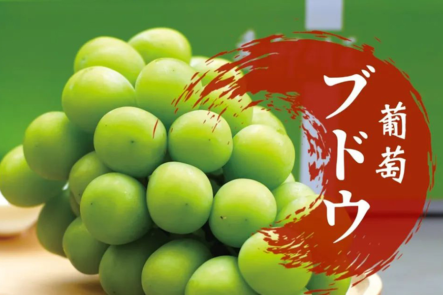 万和七彩丨匠心致远