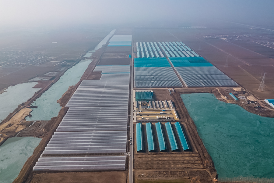 这家企业不简单 从“卖产品”到“卖技术”