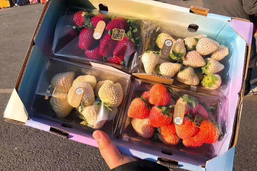 200元一斤高档草莓的启示:农业的利润，从来不在生