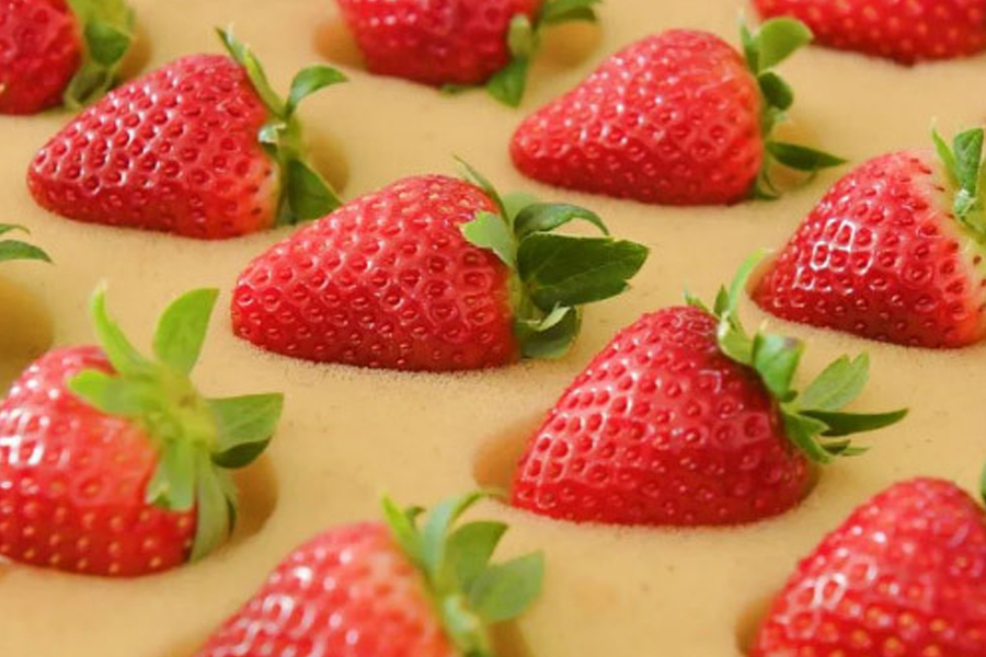 威海南海新区万和七彩：“优”字当头捧出“高端”果品