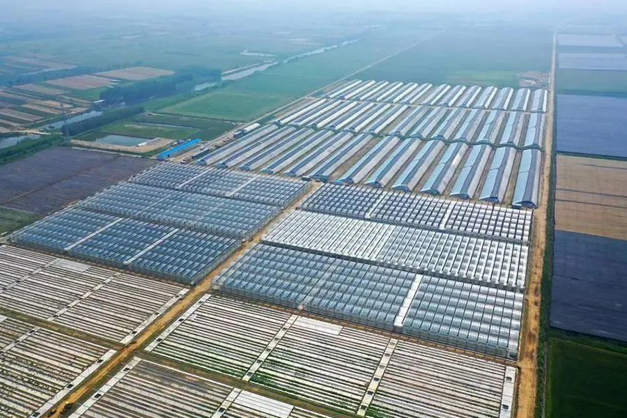 科技助力，威海南海新区现代农业动能强